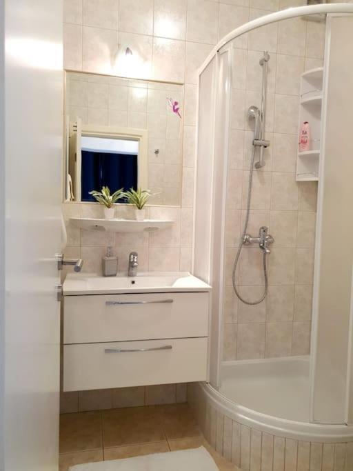 בול Apartments Regina מראה חיצוני תמונה