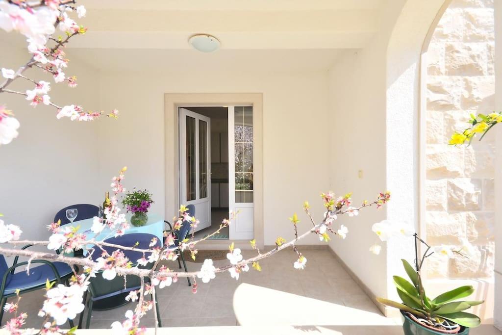 בול Apartments Regina מראה חיצוני תמונה