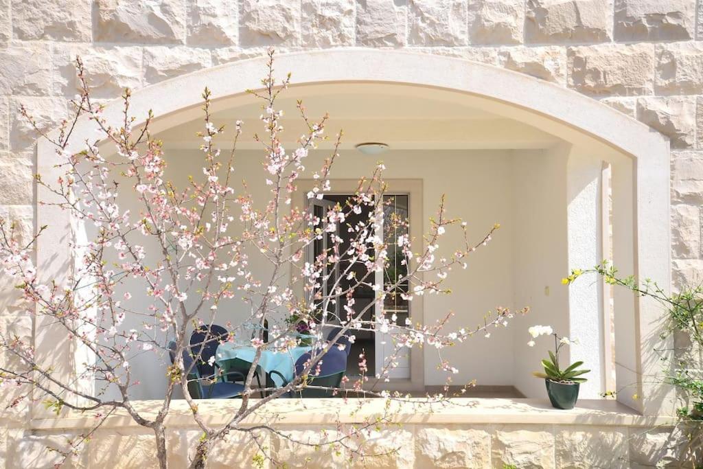בול Apartments Regina מראה חיצוני תמונה